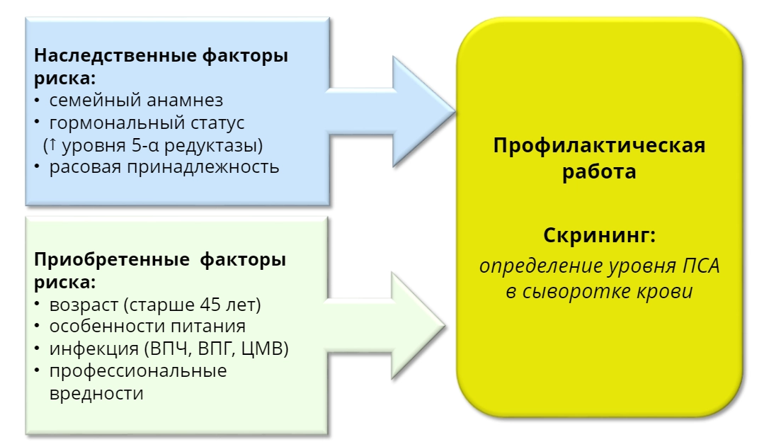 алгоритм действий при раке предстательной железы