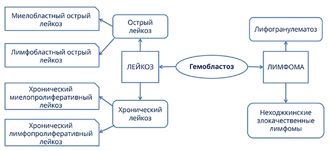 Виды гемобластозов