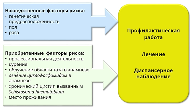 алгоритм действий при раке мочевого пузыря2