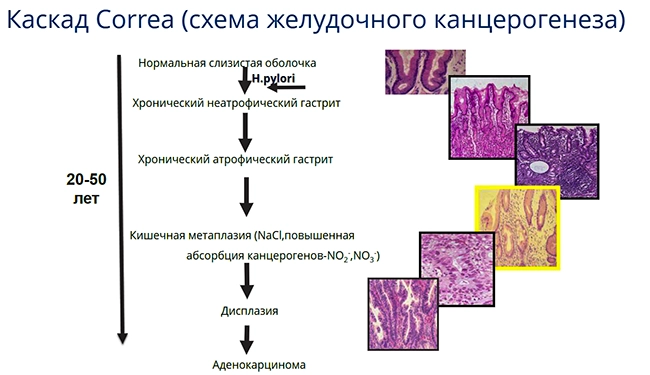 Каскад Correa