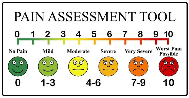 шкалы оценки боли