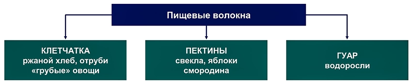 Школа сахарный диабет 2тип - 0025