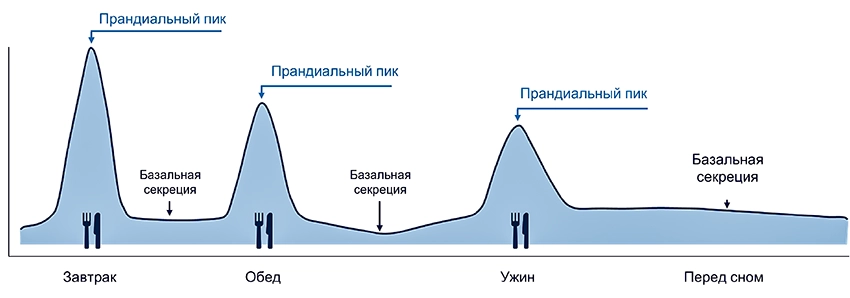 Школа сахарный диабет 2тип - 0039