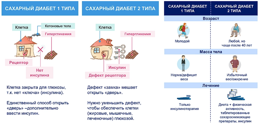 Школа сахарный диабет 2тип - 7