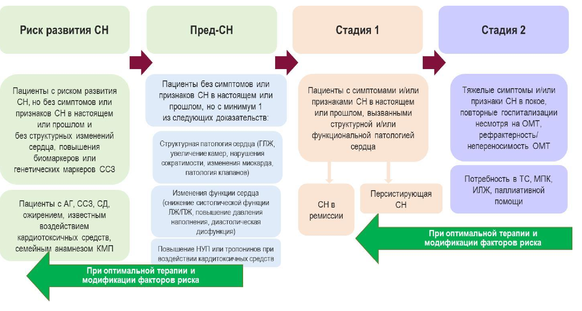 стадии развития хсн