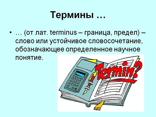 термины