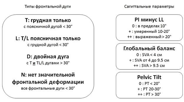 тип фронтальной дуги