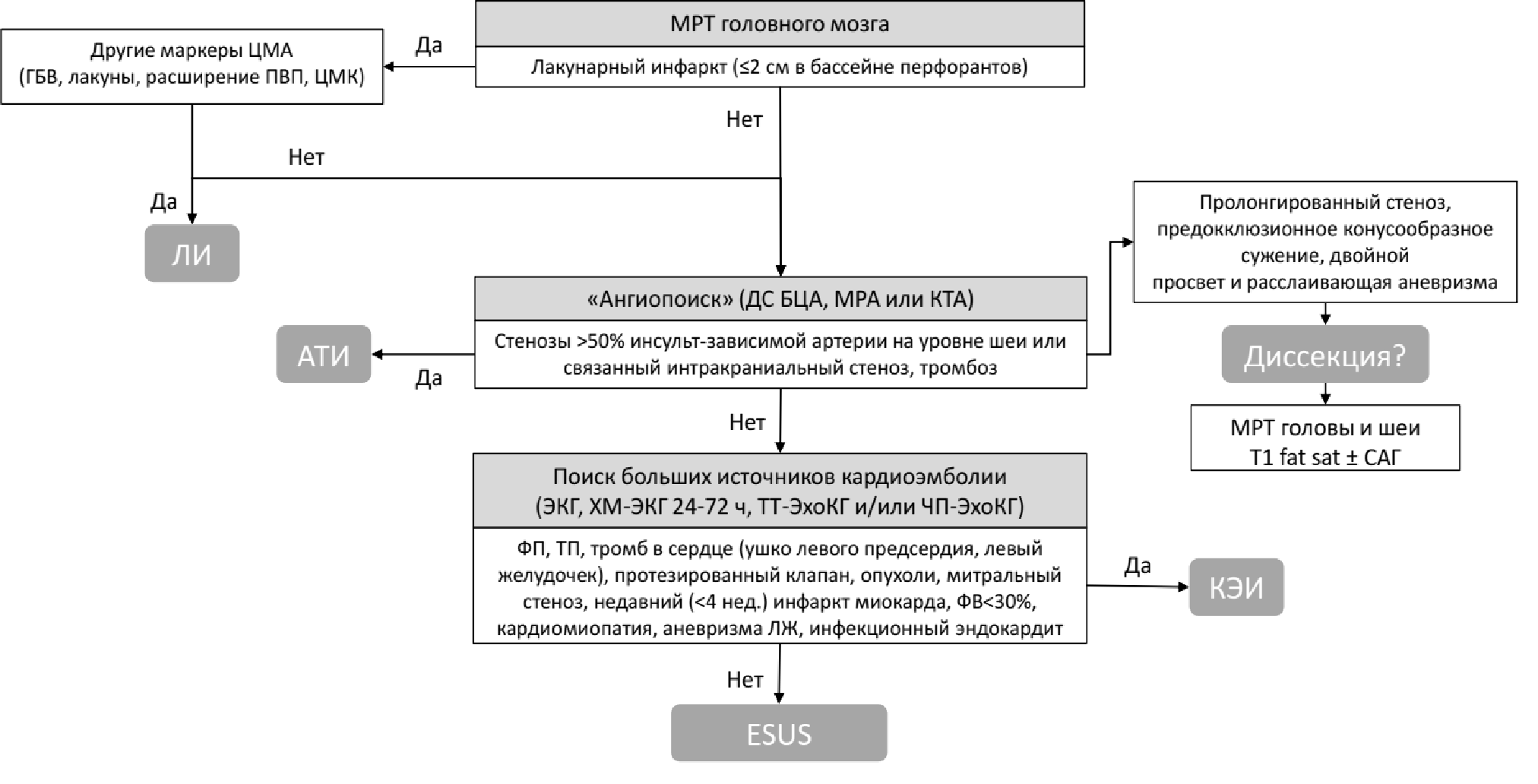 Алгоритм диагностики основных причин ишемического инсульта